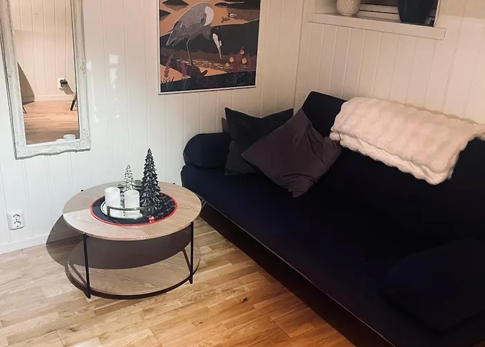 Cozy 1 Bedr Apartment Close To Everything!